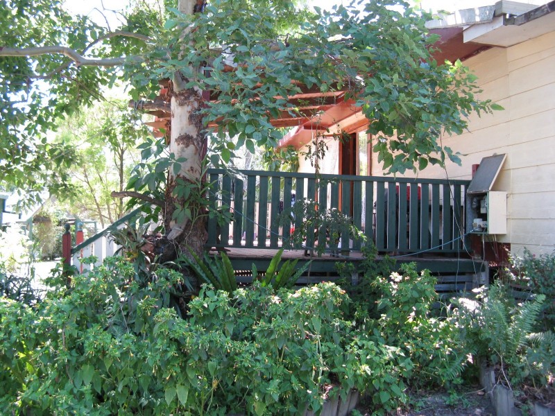 20 Allspice Street, Cedar Vale QLD 4285