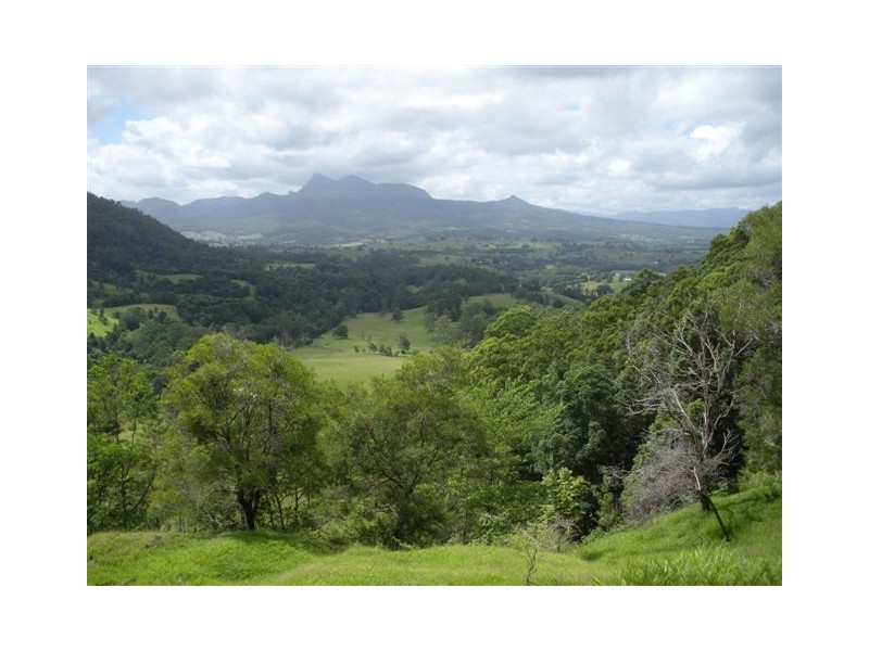 315 BUTLERS ROAD, Tyalgum NSW 2484