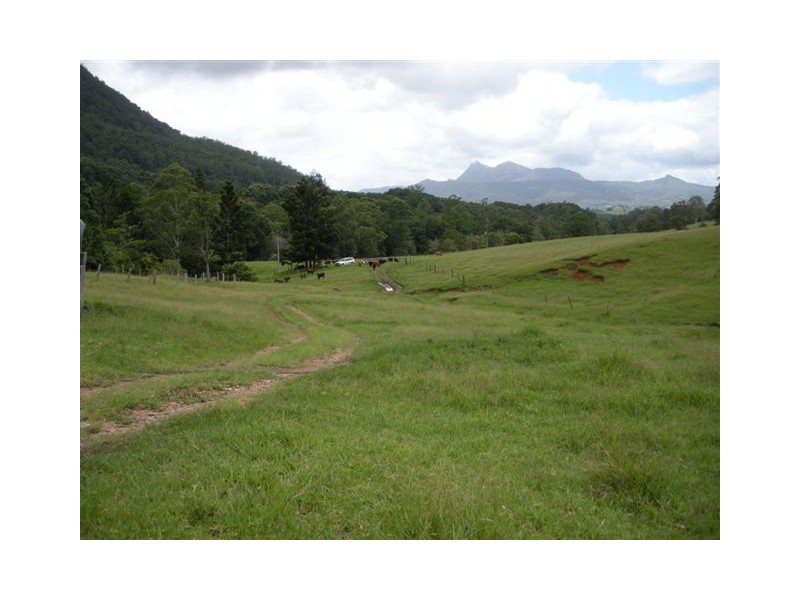 315 BUTLERS ROAD, Tyalgum NSW 2484