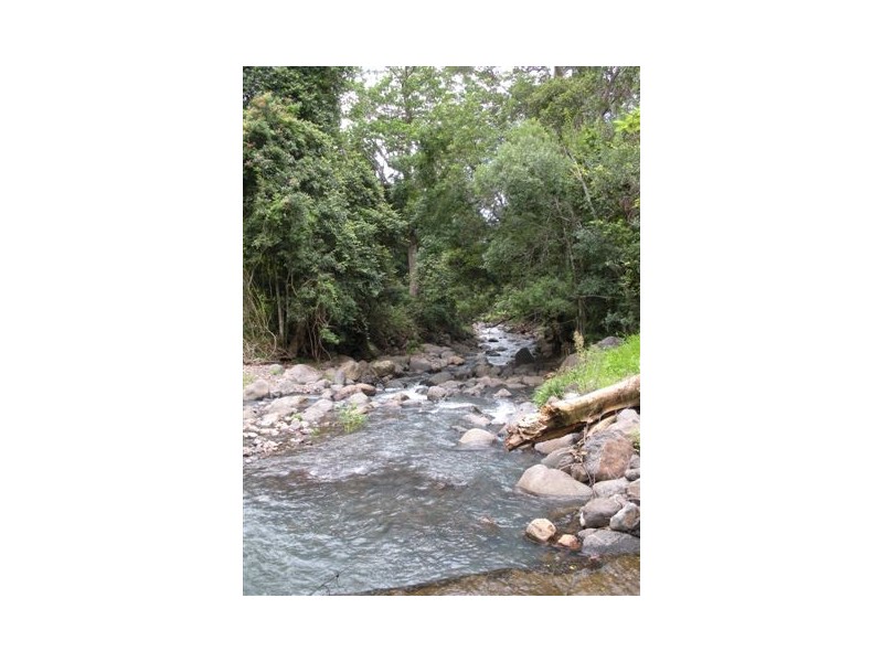 315 BUTLERS ROAD, Tyalgum NSW 2484