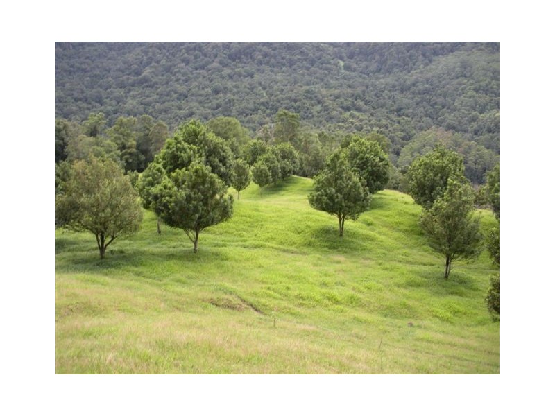 315 BUTLERS ROAD, Tyalgum NSW 2484