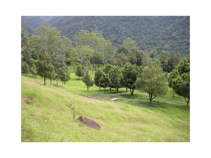 315 BUTLERS ROAD, Tyalgum NSW 2484