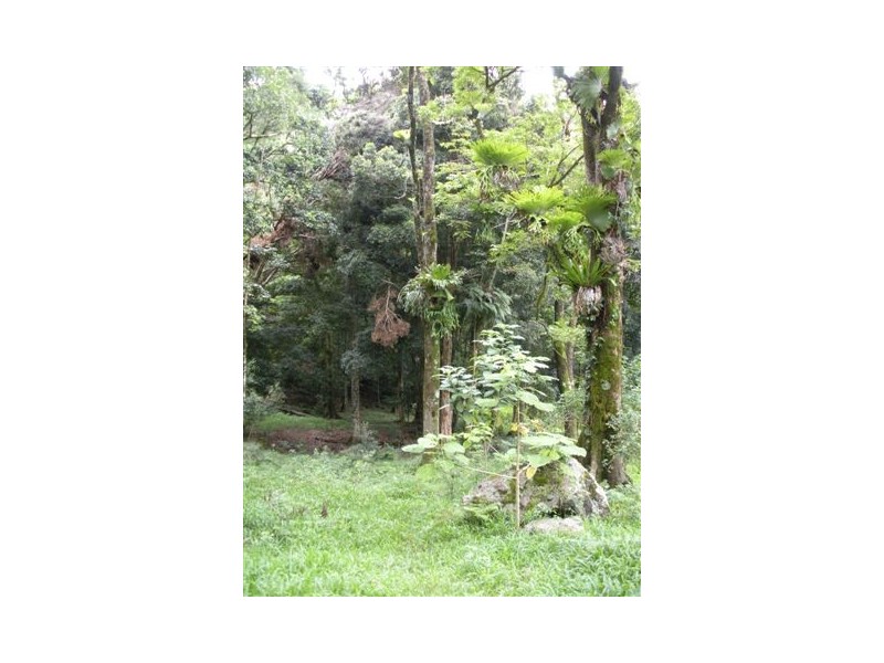 315 BUTLERS ROAD, Tyalgum NSW 2484