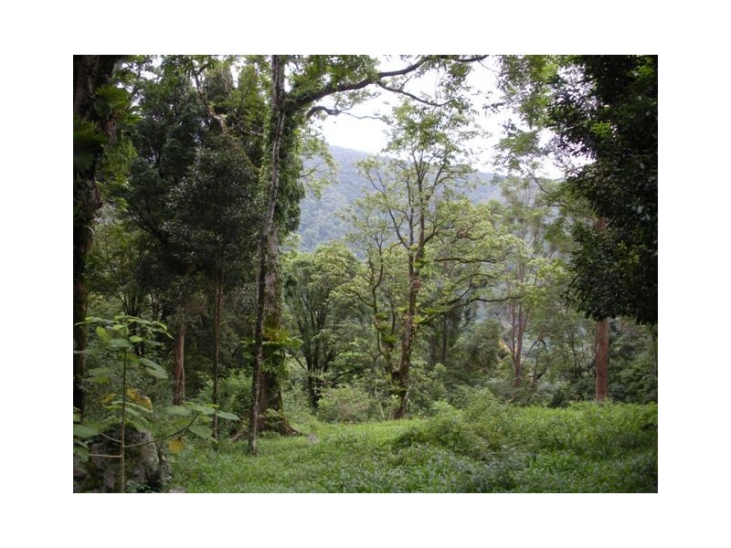 315 BUTLERS ROAD, Tyalgum NSW 2484