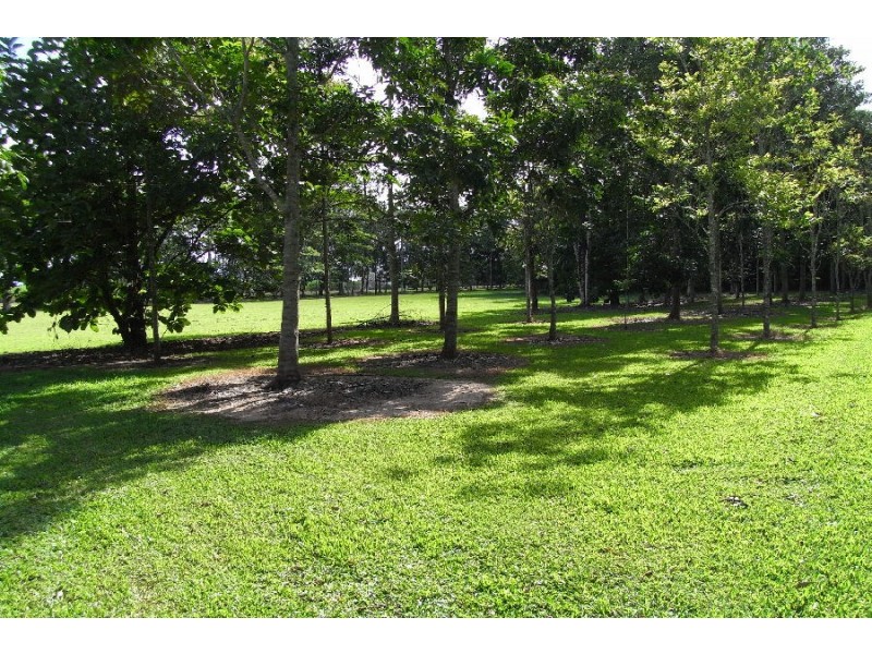 1986 Abergowrie Road, Lannercost QLD 4850