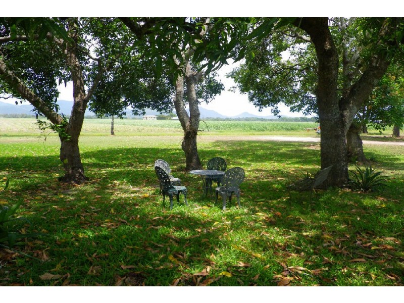 17 Mylrea Street, Ingham QLD 4850