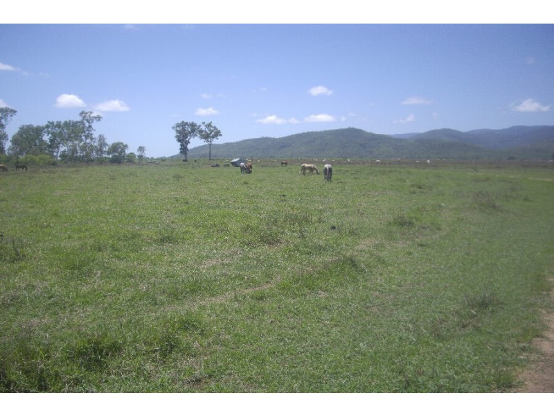 Ingham QLD 4850