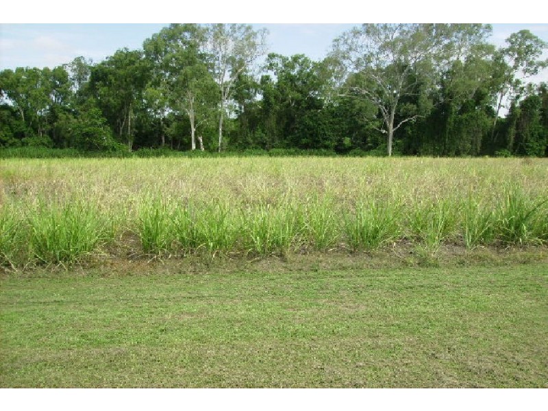 99 Liborio’s Road, Upper Stone QLD 4850