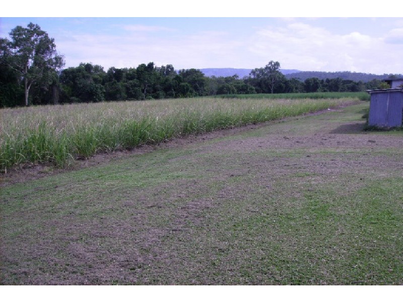 99 Liborio’s Road, Upper Stone QLD 4850