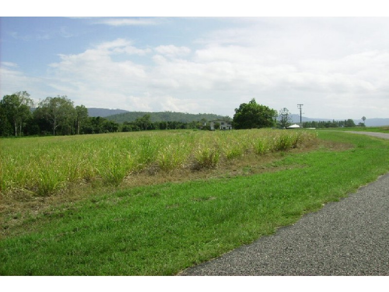 99 Liborio’s Road, Upper Stone QLD 4850