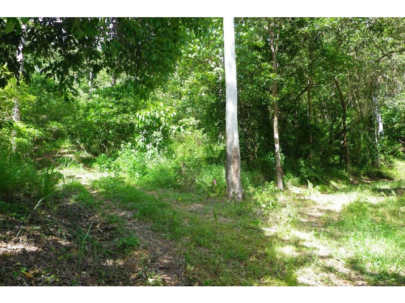 Hawkins Creek QLD 4850