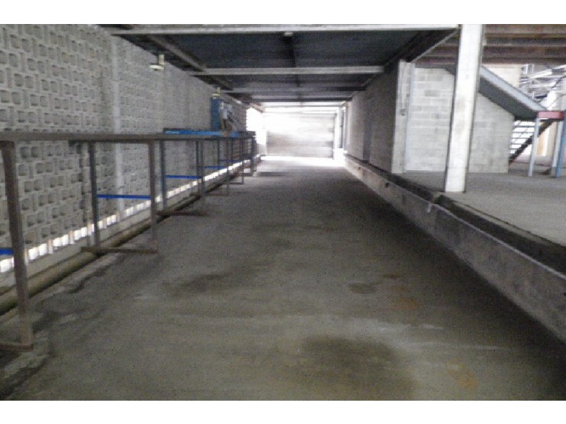 93 Herbert Street, Ingham QLD 4850