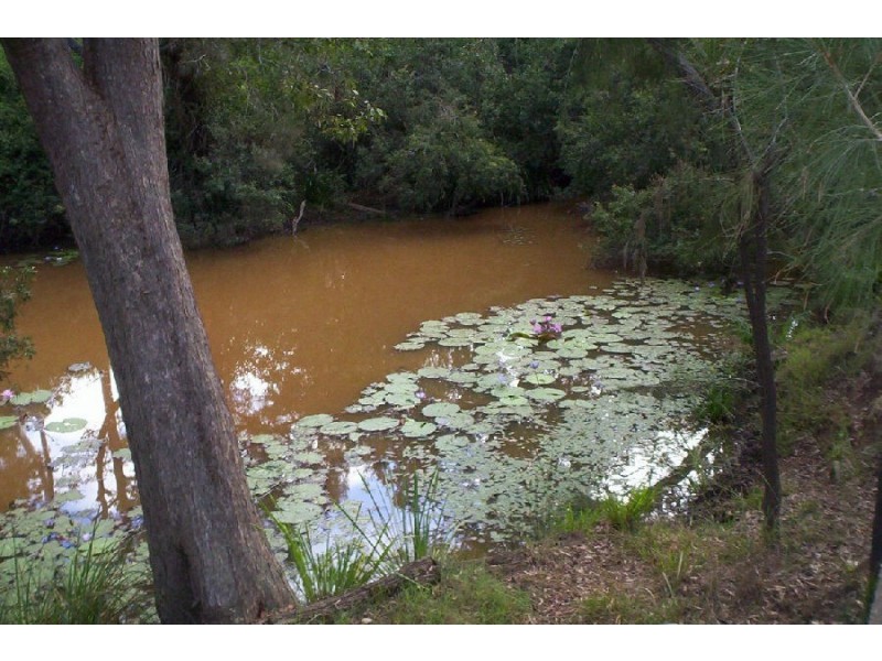 26 The Crater Road, Mount Fox QLD 4850