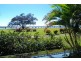 11 Vass Street, Lucinda QLD 4850