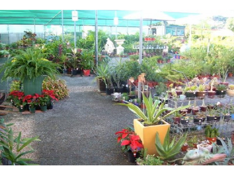 50 Townsville Road, Ingham QLD 4850