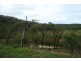 Lot 18 Bruce Highway, Bambaroo QLD 4850