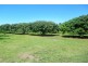 75 Lily Creek Road, Ellerbeck QLD 4816