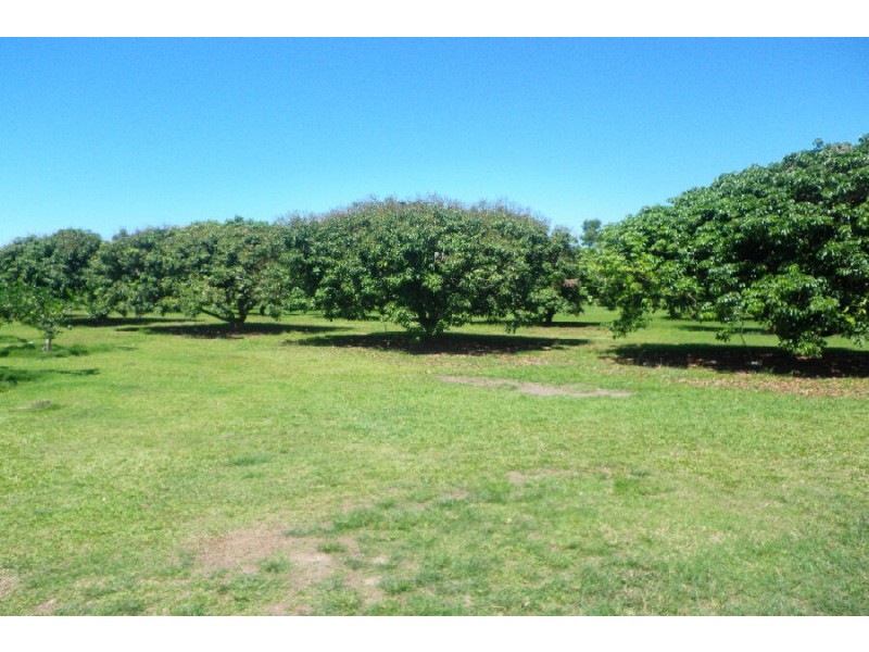 75 Lily Creek Road, Ellerbeck QLD 4816