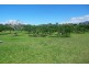 75 Lily Creek Road, Ellerbeck QLD 4816