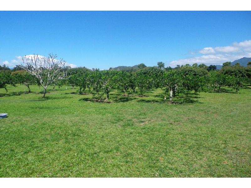75 Lily Creek Road, Ellerbeck QLD 4816