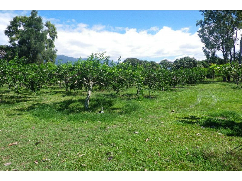 75 Lily Creek Road, Ellerbeck QLD 4816