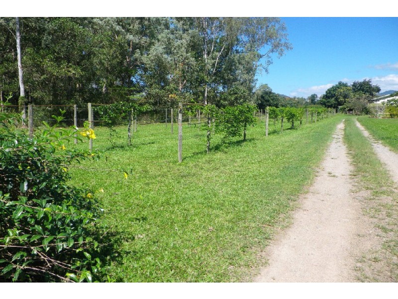 75 Lily Creek Road, Ellerbeck QLD 4816