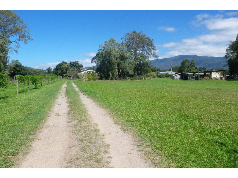 75 Lily Creek Road, Ellerbeck QLD 4816