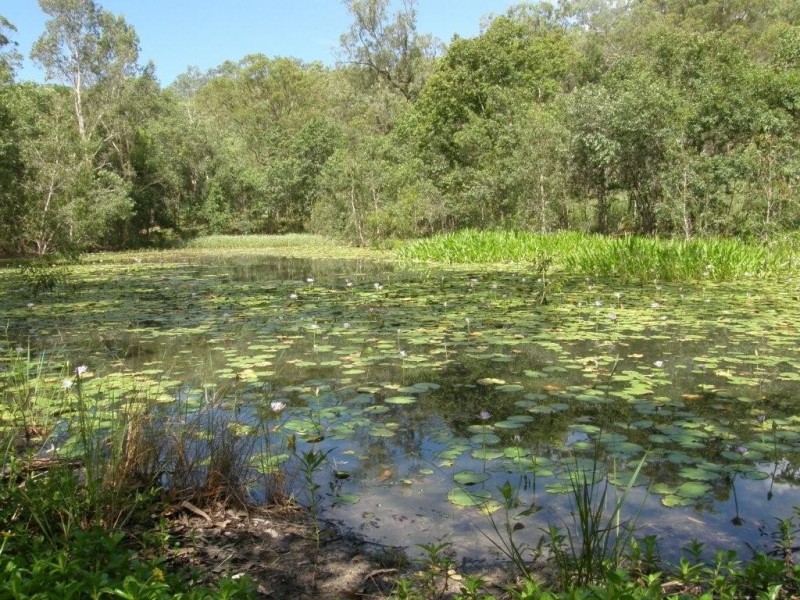 40 Probert’s Road, Bambaroo QLD 4850