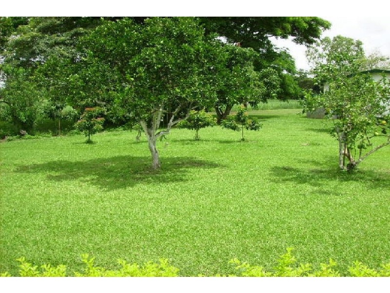 8 Maria Court, Ingham QLD 4850