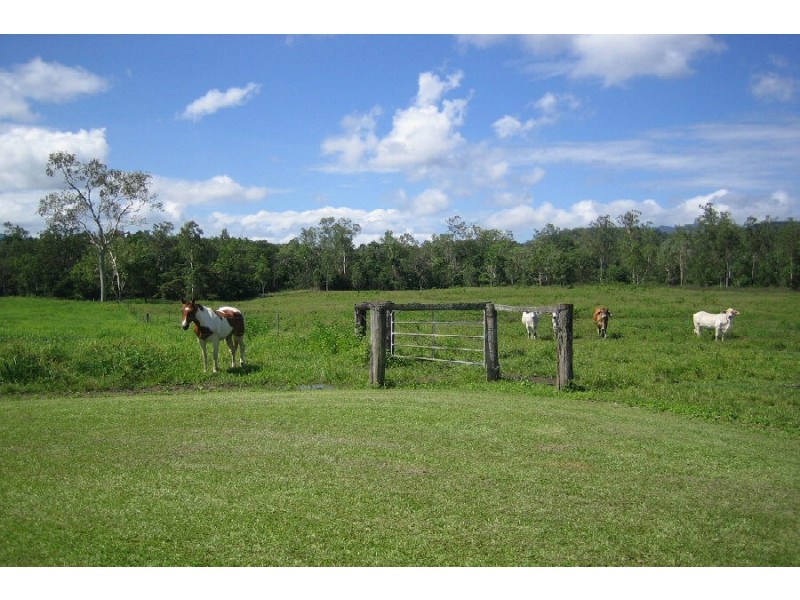 18 Nazzari’s Road, Dalrymple Creek QLD 4850
