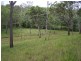 Mount Fox QLD 4850