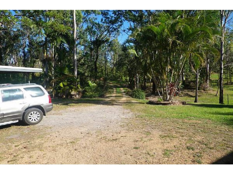 1316 Hawkins Creek Road, Hawkins Creek QLD 4850
