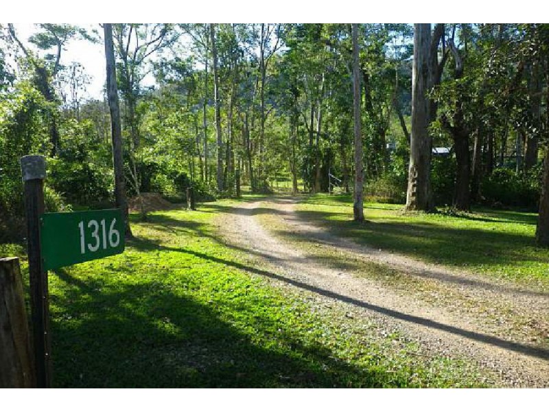 1316 Hawkins Creek Road, Hawkins Creek QLD 4850