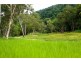 Ingham QLD 4850