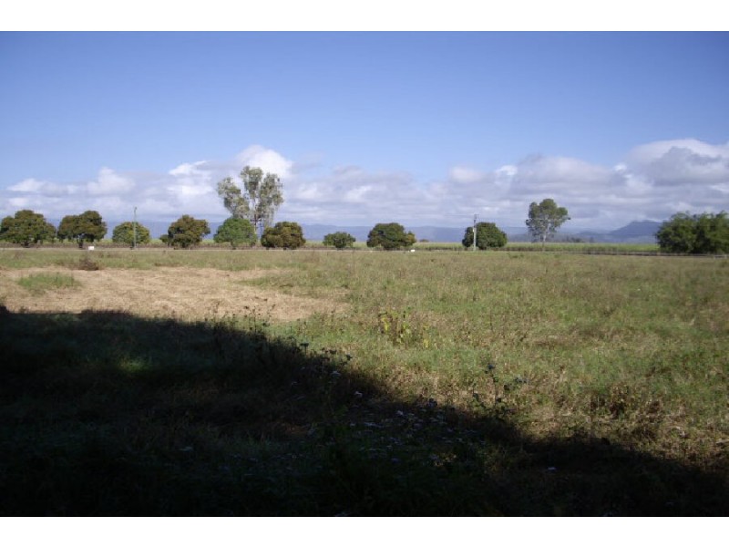 1980 Abergowrie Road, Lannercost QLD 4850