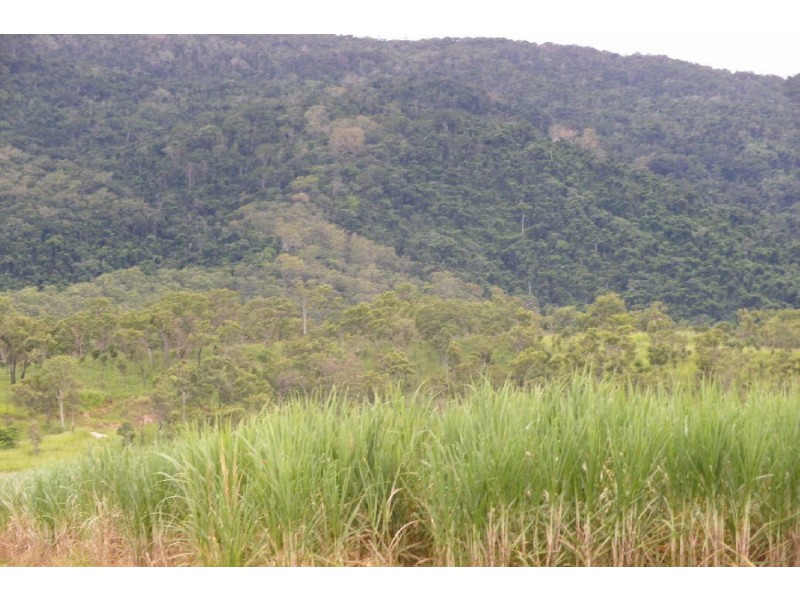 Lot 103 Bruce Highway, Bambaroo QLD 4850