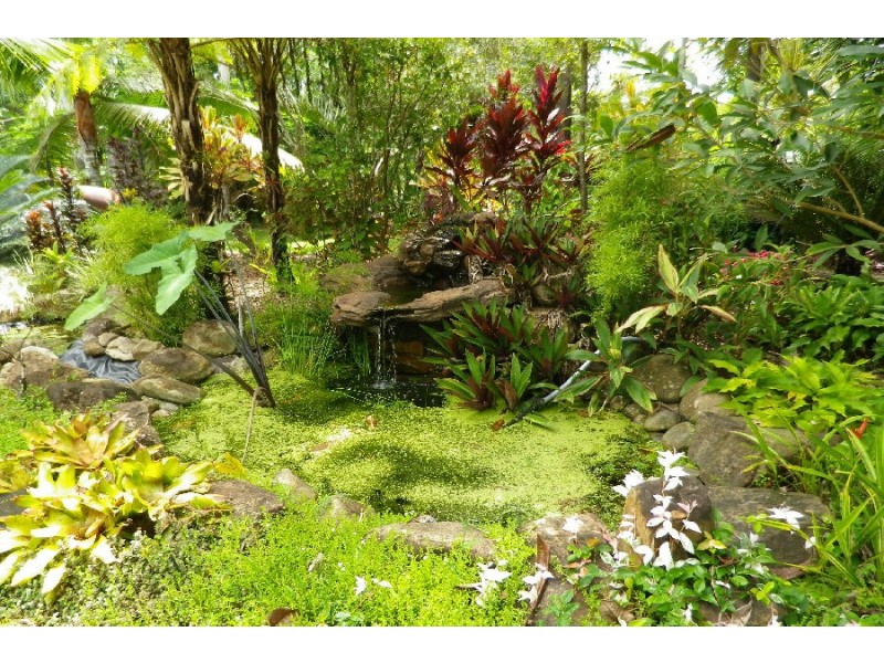 24 Mutarnee School Road, Mutarnee QLD 4816