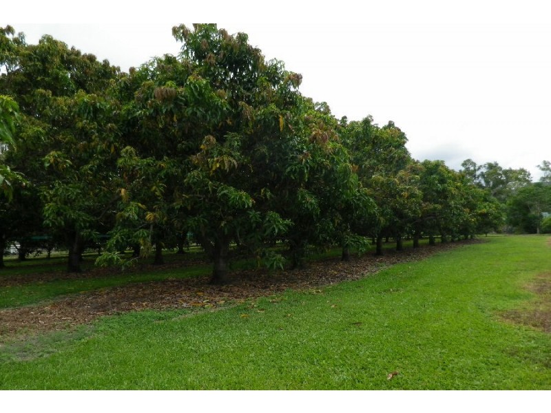 24 Mutarnee School Road, Mutarnee QLD 4816