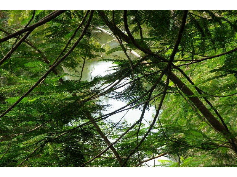 24 Mutarnee School Road, Mutarnee QLD 4816