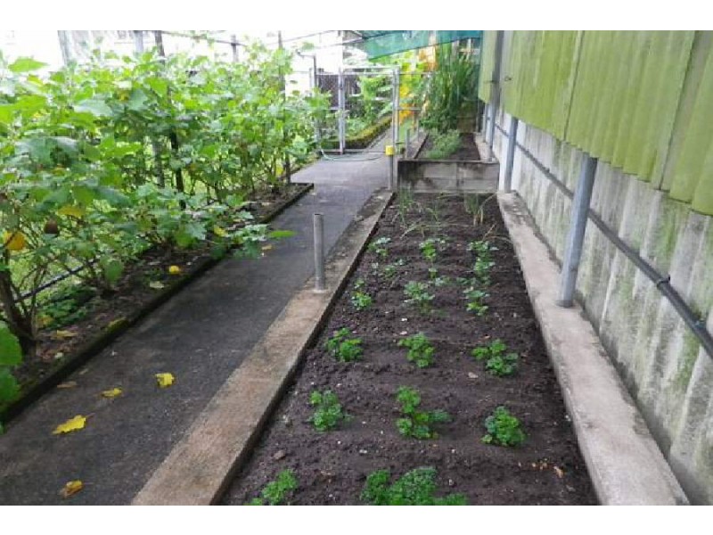 5 Covell Street, Ingham QLD 4850