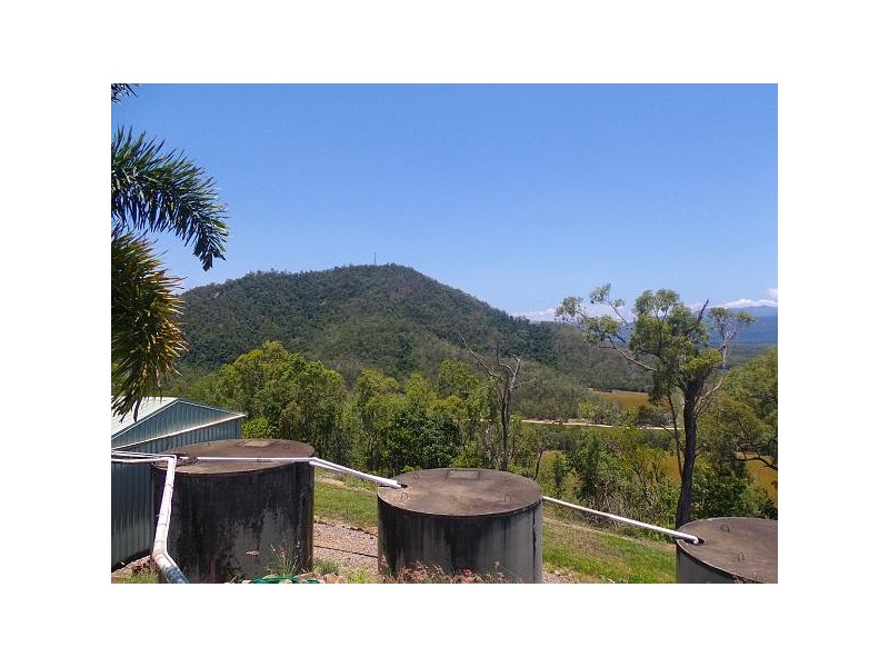 000 Mount Cudmore Road, Ingham QLD 4850