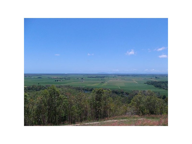 000 Mount Cudmore Road, Ingham QLD 4850