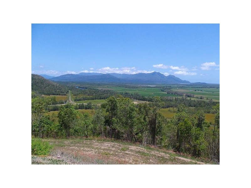 000 Mount Cudmore Road, Ingham QLD 4850