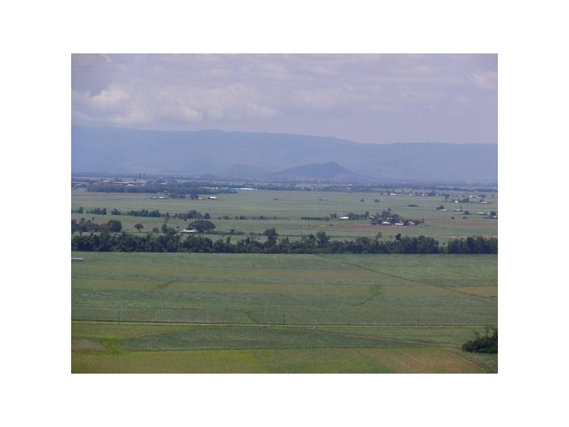 000 Mount Cudmore Road, Ingham QLD 4850