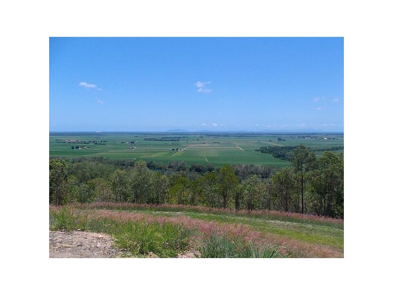 000 Mount Cudmore Road, Ingham QLD 4850