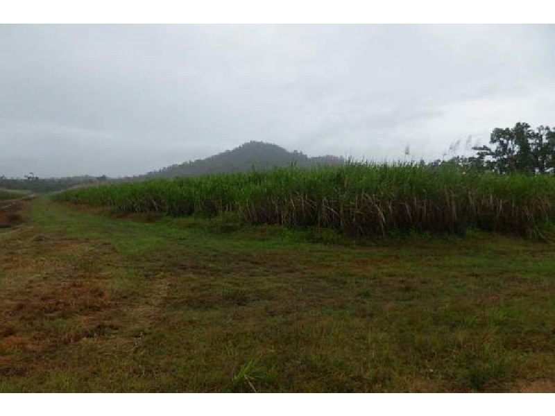 Lot 49 Pettit’s Road, Peacock Siding QLD 4850