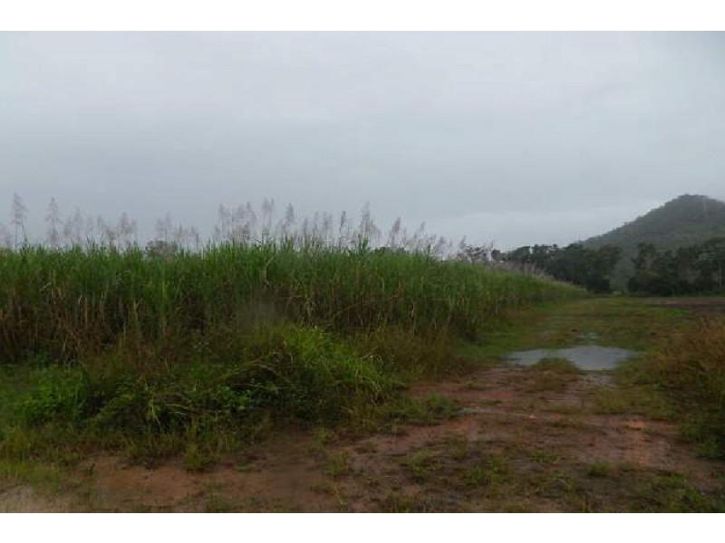Lot 49 Pettit’s Road, Peacock Siding QLD 4850
