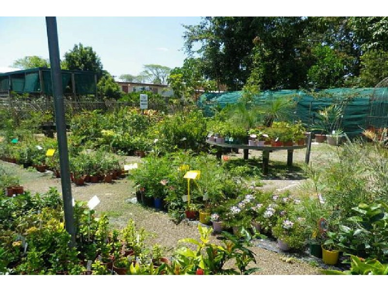 50 Townsville Road, Ingham QLD 4850