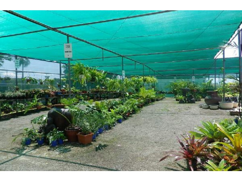 50 Townsville Road, Ingham QLD 4850