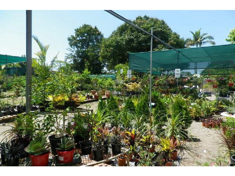 50 Townsville Road, Ingham QLD 4850